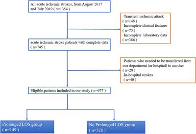 A clinical prediction model based on interpretable machine learning algorithms for prolonged hospital stay in acute ischemic stroke patients: a real-world study